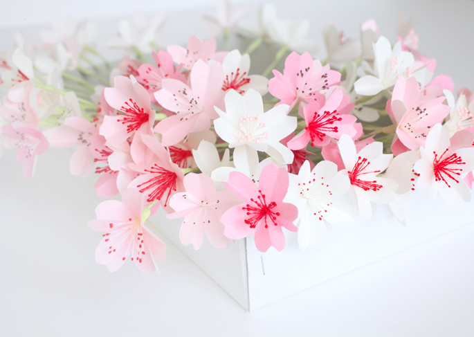 Origamis de fleurs de cerisier